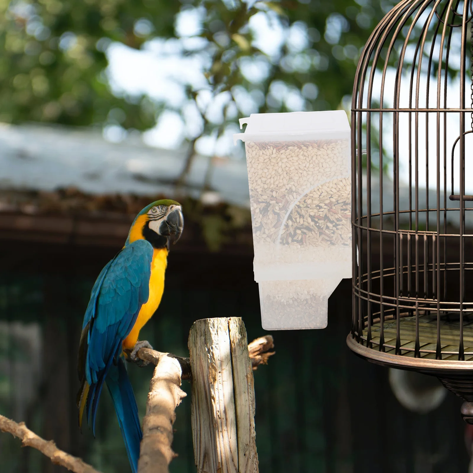 

Bird Food Container Large Capacity Removable Cover Splash Proof Transparent Pet Bird Feeder Cockatiel Finch Feeding Tool