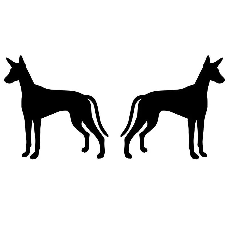 

Interesting Cartoon 1Pair Ibizan Hound Dog (Left Right) Bumper Car Sticker Personality Animal Vinyl Decals Black/white,13cm*6cm