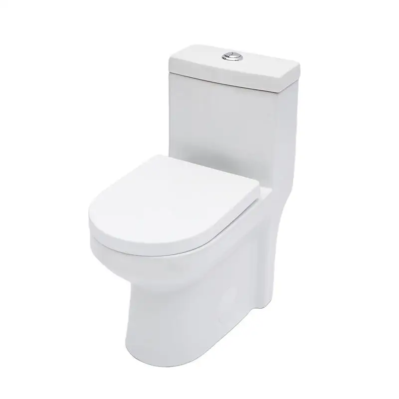 

Ceramic One-Piece Toilet for Bathroom, 12-inch Rough-In, Dual Flush 1.1/1.6 GPF, Soft Close Seat, Powerful MAP 800g Performance