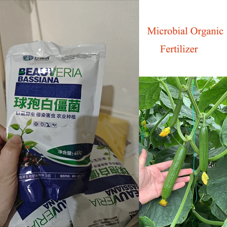 One Bag Beauveria Microbial Fertilizer Water-soluble Fertilizer Protect Plants Beauveria Bassiana Microbial Organic Fertilizer