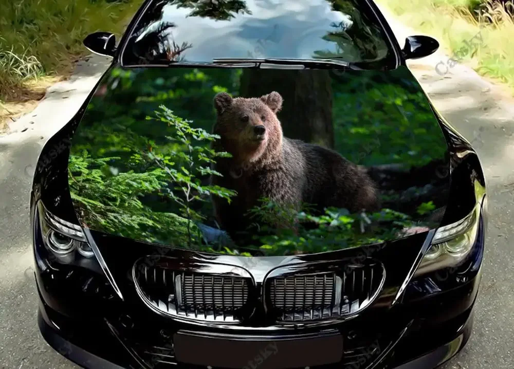 Forest Bear Animals Car Hood Wrap Color Vinyl Sticker Decal Truck Graphic Bonnet Custom Auto Accessories Decoration Cover Gift