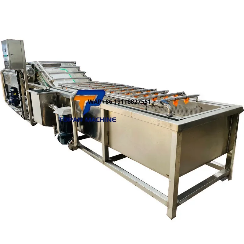 

Air Bubble Vegetable Fruit Washing Machine Food Dehydrator Wash Dryer Line Food Processing Plant Supplier