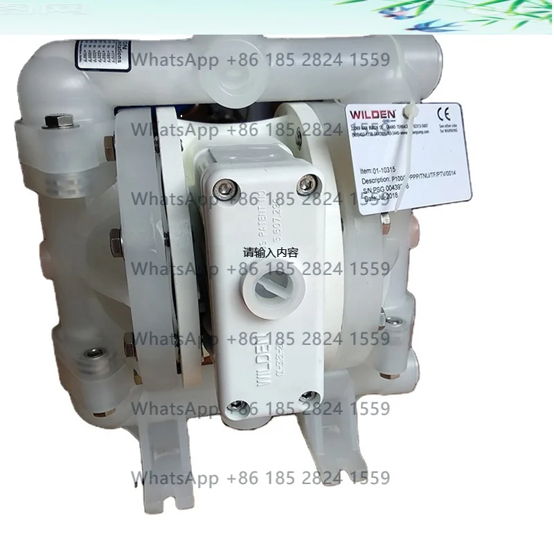 

13 mm (1/2") Bolted Plastic AODD Pump P100/PPPPP/TNU/TF/PTV Pneumatic Diaphragm Pumps in stock
