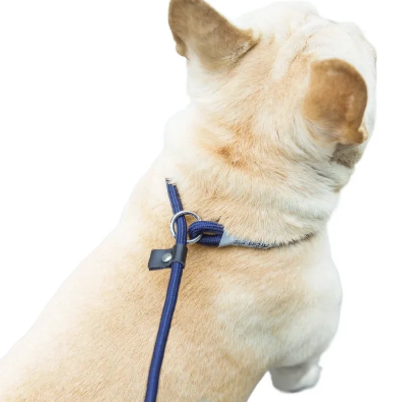 Thumbnail 4 - #55 Latest Dog Leads Offers