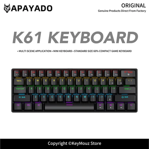 60% Wired Mini Mechanical Keyboard
