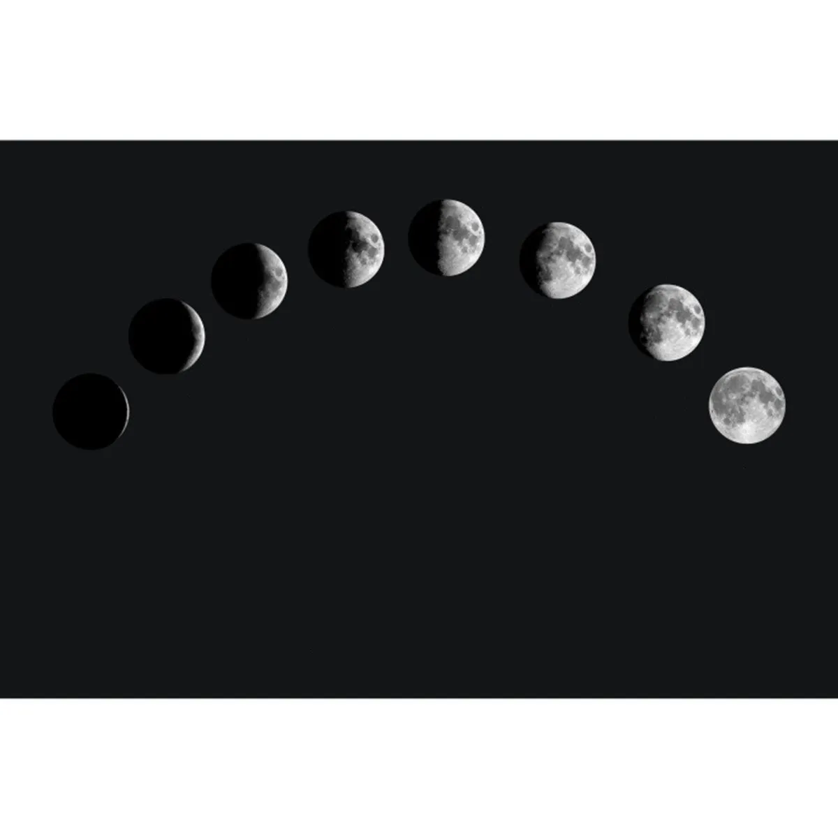 

5Packs DIY Hand Account Stickers Black Kraft Thank You Seals for Envelopes Gift Bags Party Favors Diary Scrapbooking Stationery