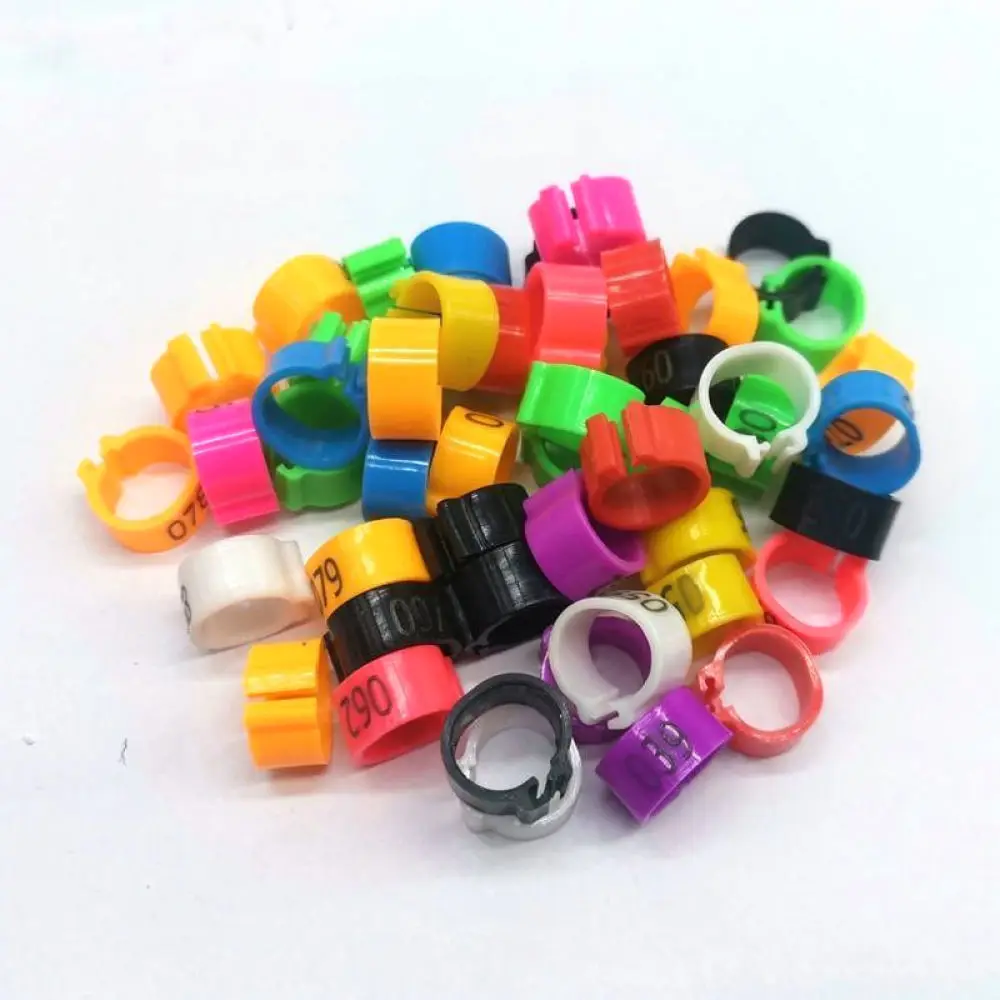 Numbered Identification Bands For Pigeon Leg Rings Plastic Labels Racing Birds Poultry Management Tracking Gear