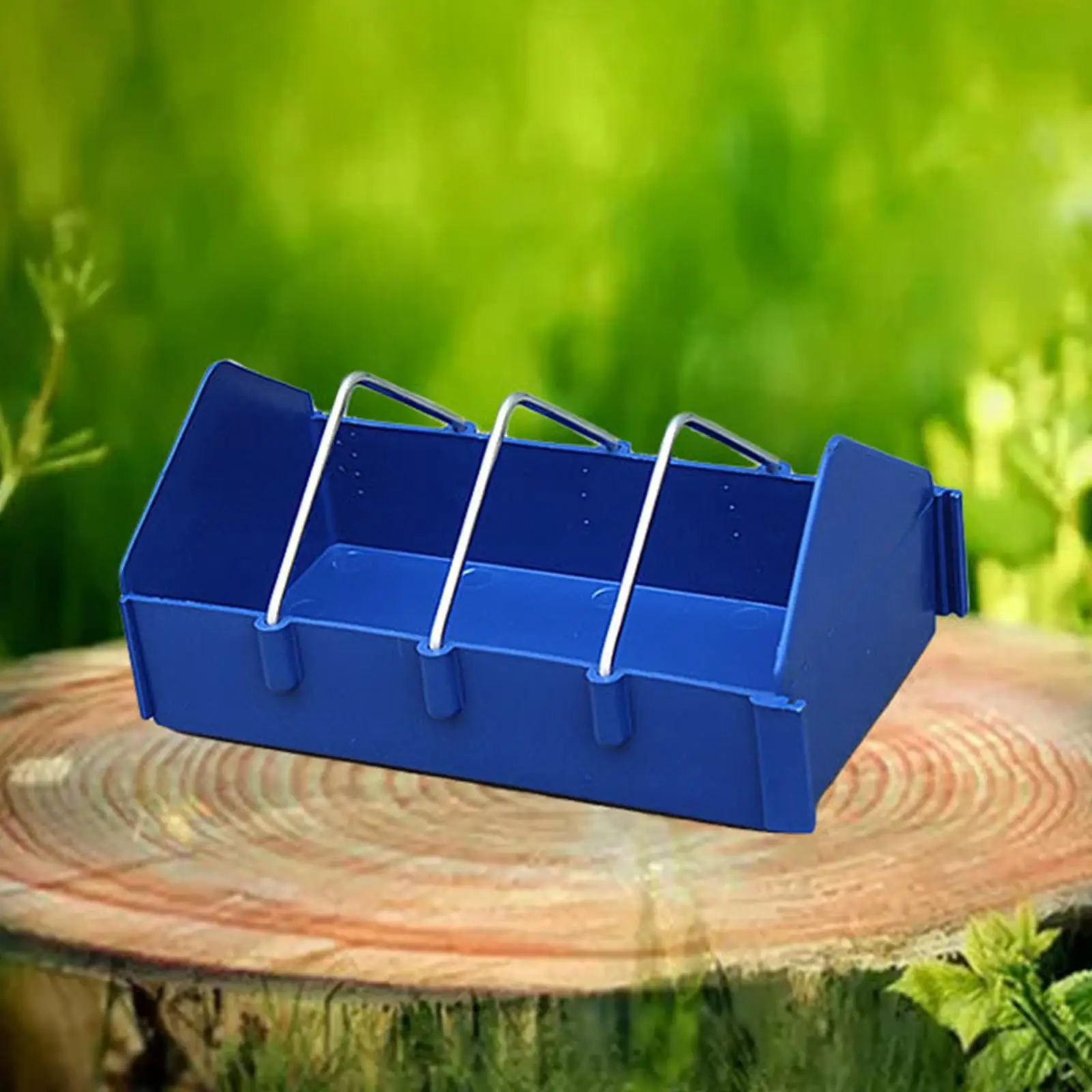 Thumbnail 4 - #36 Compare Birdhouses Before You Buy