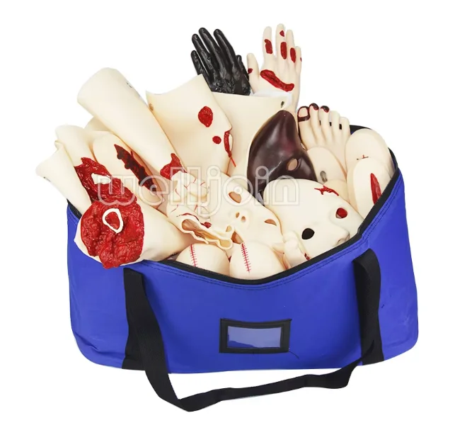 16 Pcs Trauma Evaluation Module Emergency Care First Aid Simulation Model Teaching Equipment training model