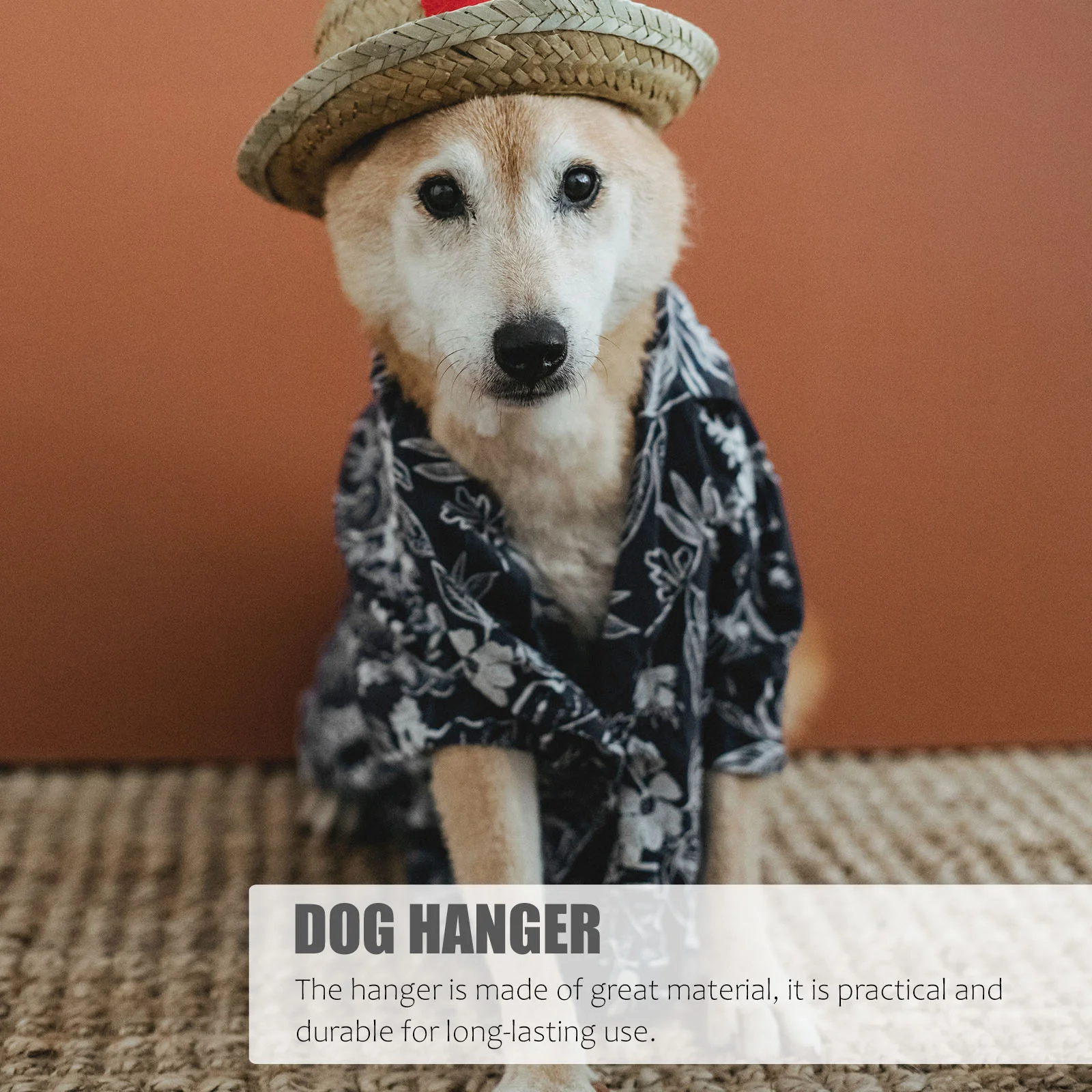 10 Pcs Pet Hanger Dog Clothes Wooden Holder Apparel Rack Small Stainless Steel Accessory Baby