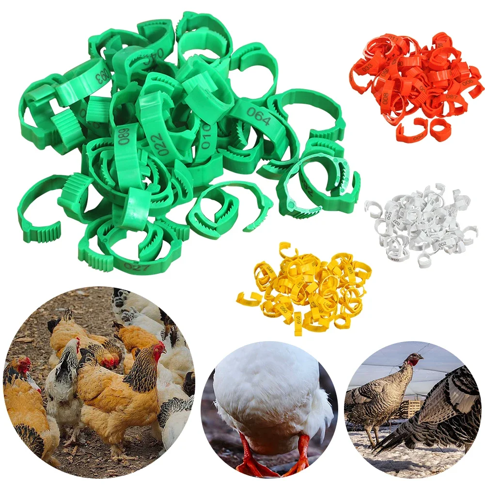 100Pcs Chicken Foot Rings Label Clasp Plastic Adjustable Poultry Leg Snap Ratchet Clip Digital Duck Pigeon Goose Farm Feed Tool