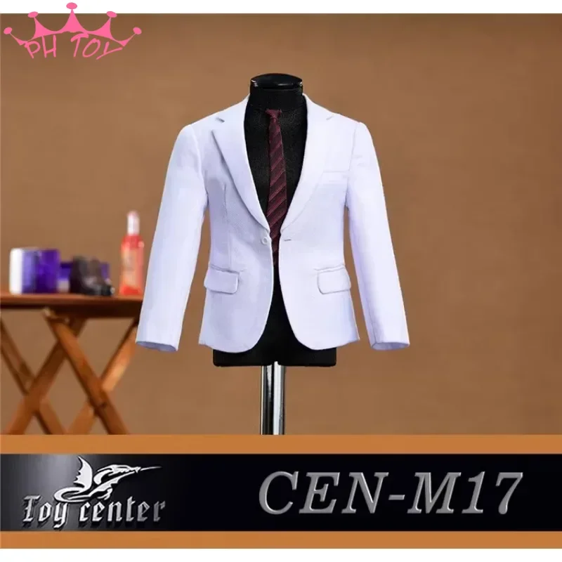 Toy Center 1/6 Male Casual Suit Gentleman Business Suit Clothes Model CEN-M17 for 12