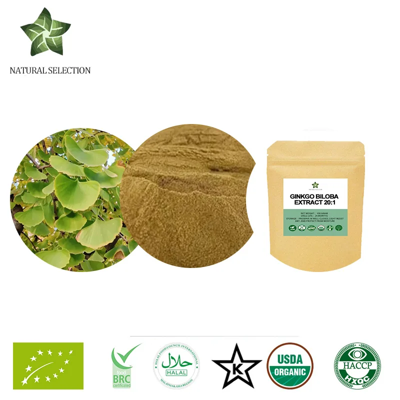 Free Shipping Natura Ginkgo Biloba, 100g-1000g