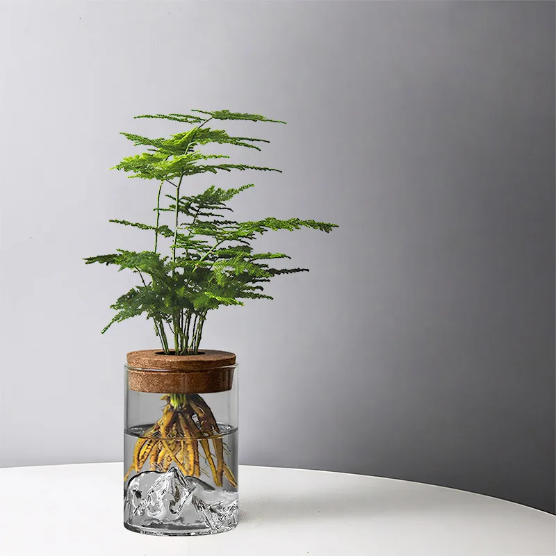 Hydroponic Small Potted Plants Office Desktop Potted Plants Glass Bottles Green Plant Ornaments Small Vases