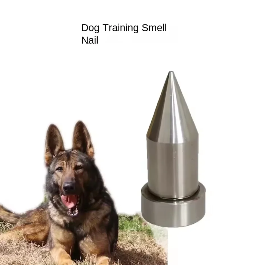 Thumbnail 4 - #17 Trending Pet Agility Equipment Right Now