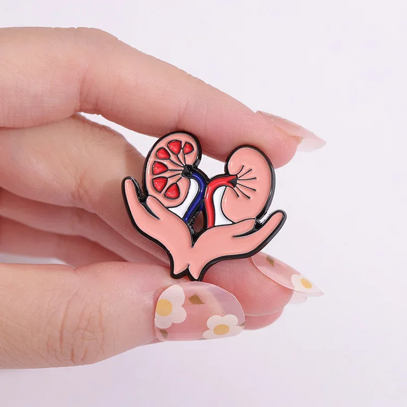 Organs Enamel Pin Breasts Kidney Liver Brooches Lapel Backpack Hat Metal Badge Biology Anatomy Jewelry Gift For Medical Students