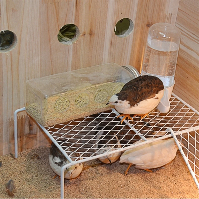 Transparent Fowl Chicken Feed Troughs Indoor Outdoor Practical Chicken Feeders Drinker Plastic Seed & Water Dispenser 13ME