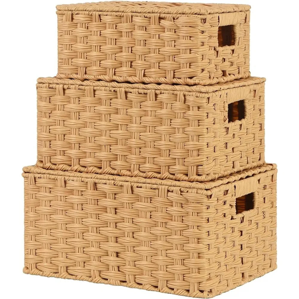 GRANNY SAYS Storage Basket with Lid, Wicker Baskets Storage, Set 3 Decorative Storage Boxes, Woven Basket Storage Bins, 3-Pack