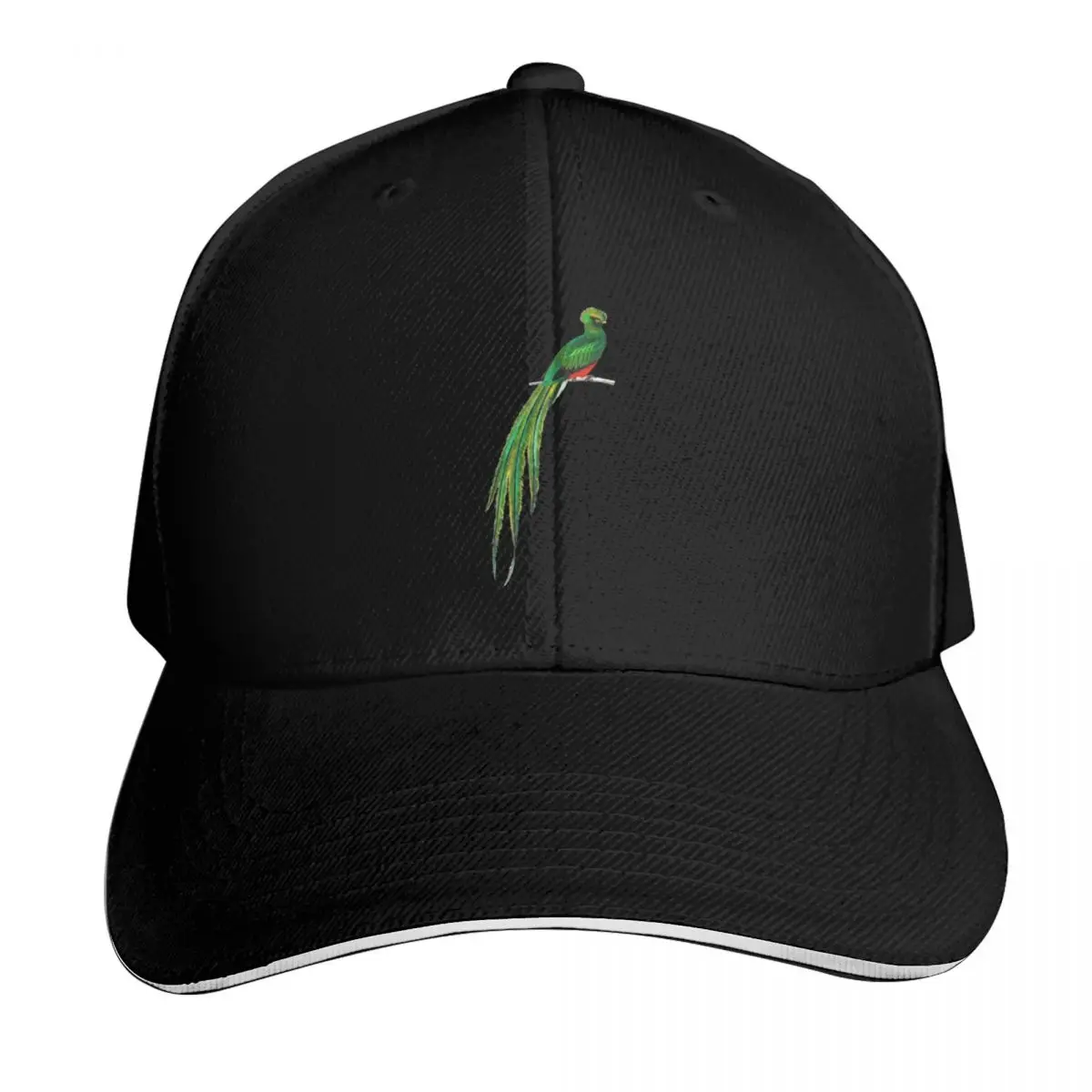 Quetzal on branch, quetzal bird, quetzal Baseball Cap Streetwear Hip Hop Trendy Vintage Retro Embroidered Lightweight Packable