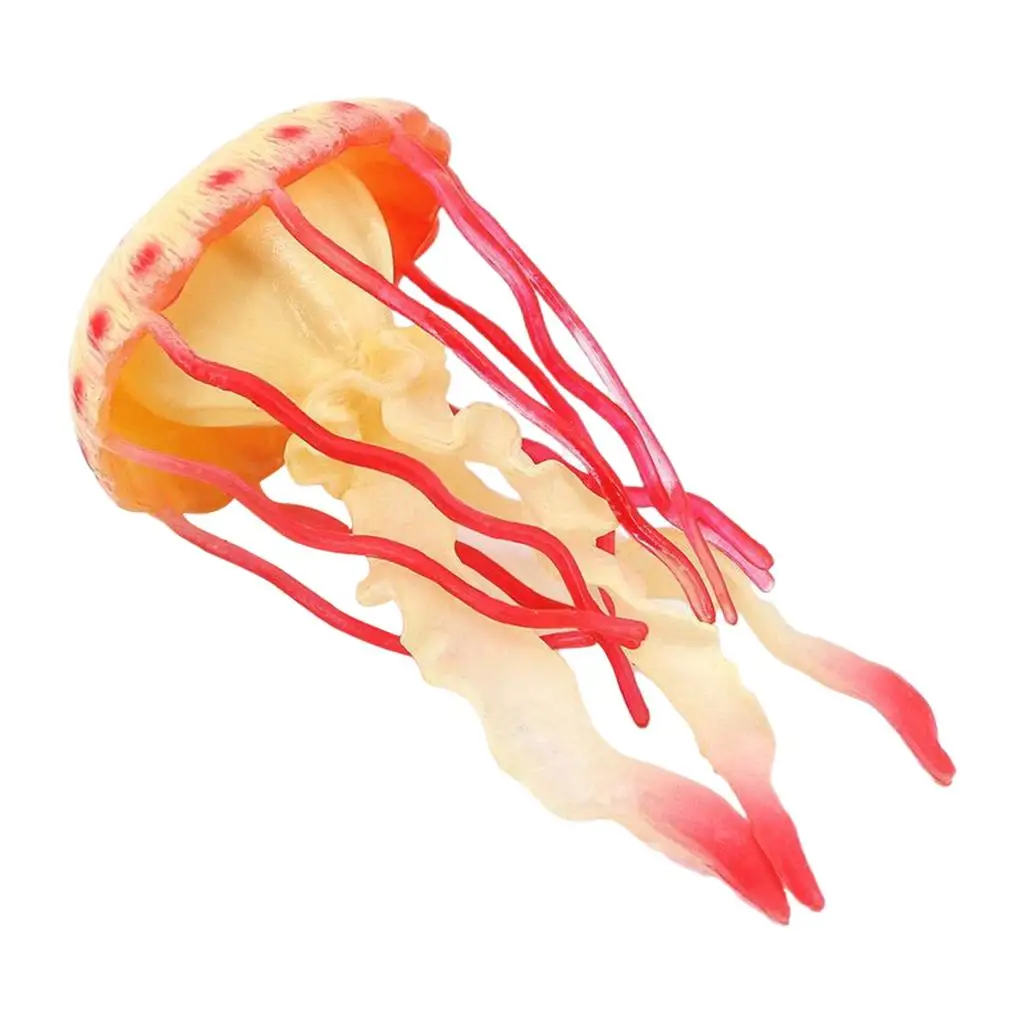 Plastic Model Figures Marine Model Early Education Science Educational Toys Tools for Kids