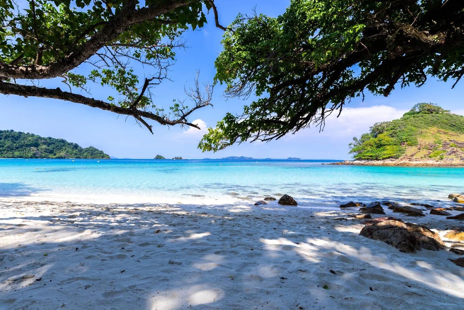 Custom Size Photo Wallpaper Seascape Beach Palm Wall Covering Mural Living Room Bedroom Background Wallpaper De Parede