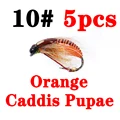 caddis pupa orange