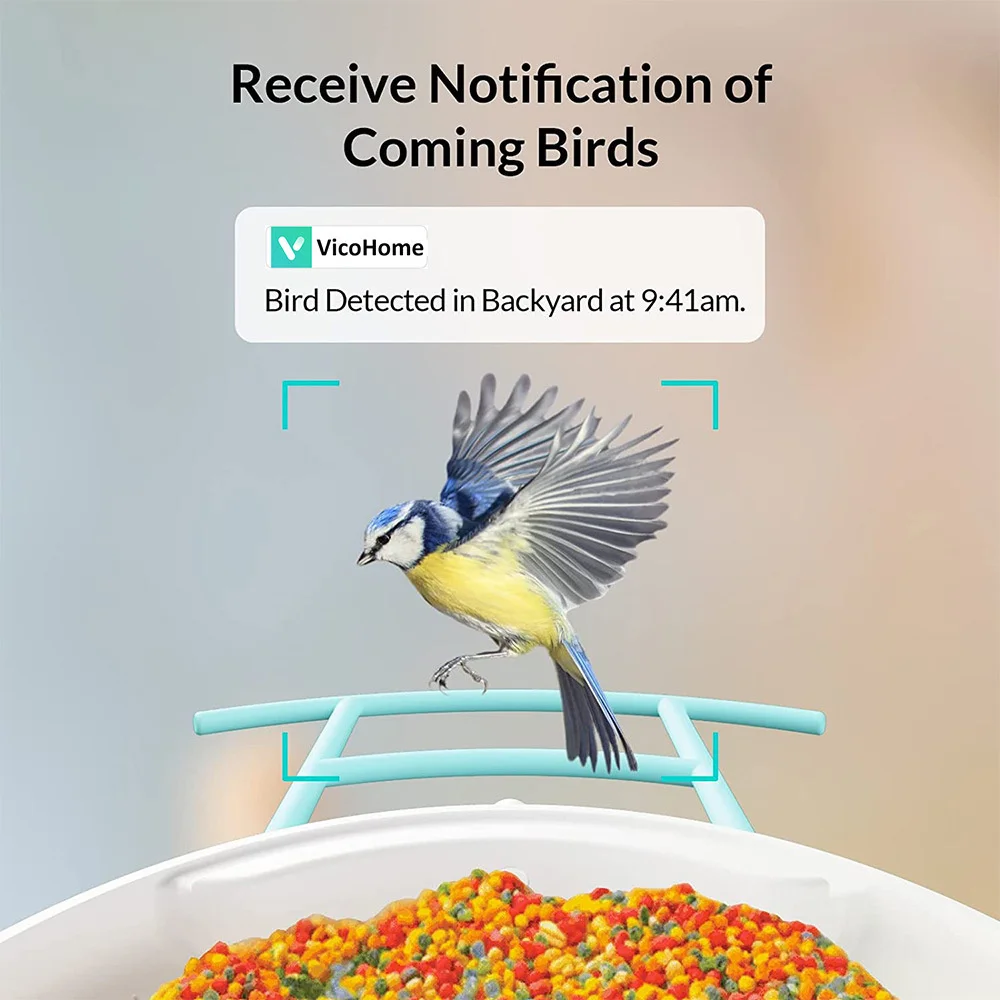 Bird Feeder with Camera Wireless Outdoor,Smart Bird Feeder Camera with AI Identify Bird Species