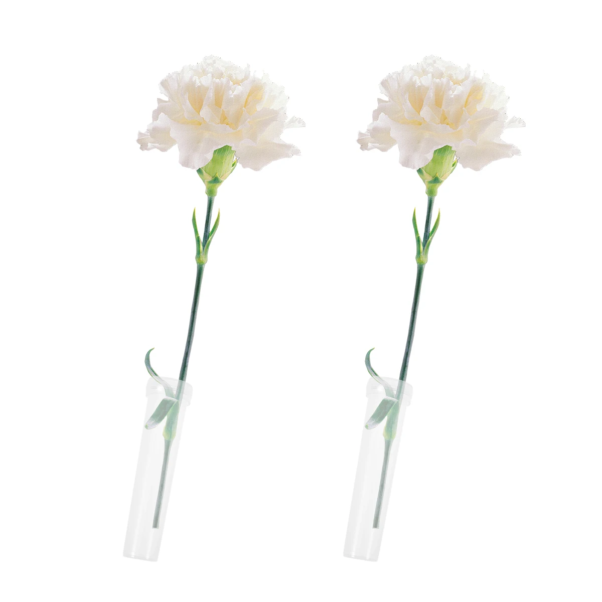 

100pcs Flowers Nutrition Tube Preservation Longer Flower Shop Supplies Flower Shop Floral Water Tube Supplies