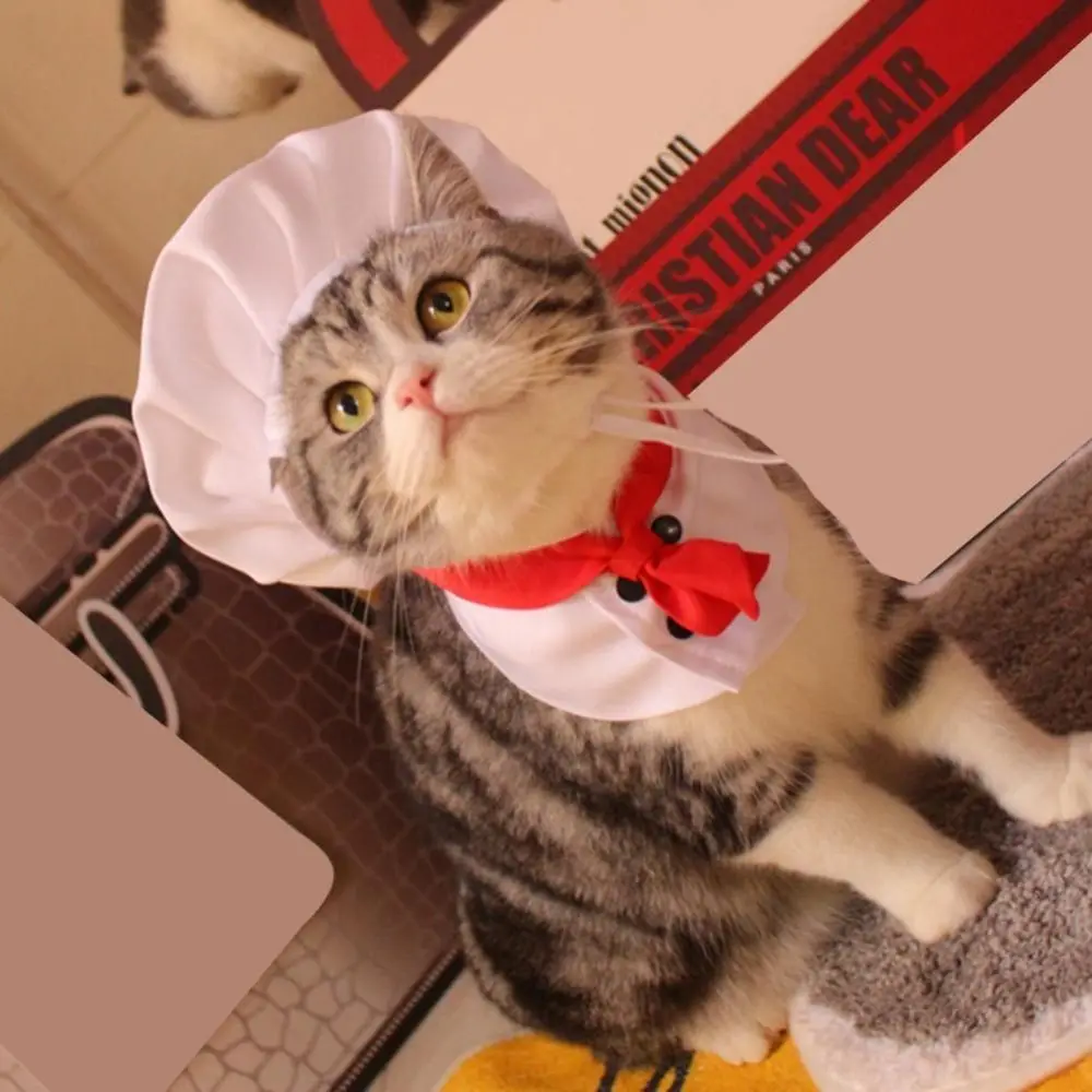 Cat Chef Hat Set Pet Cooking King Hat Cat Dog Transformation Dress Cosplay Props Pet Accessories