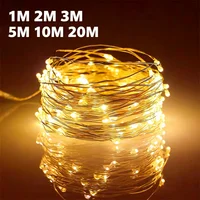 USB Led Fairy Lights Copper Wire String 1/2/3/5/10/20M 200LED Holiday Lamp Garland For Christmas Tree Wedding Party Decoration