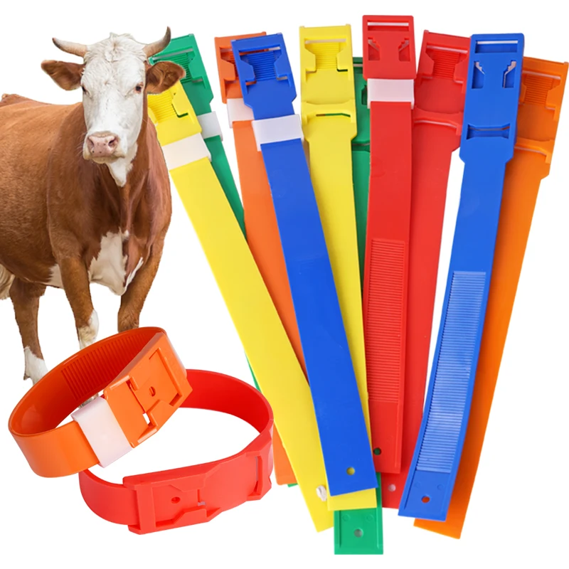 5Pcs Livestock Cow Cattle Foot Rings Multicolor Cattle Identification Tape Cow Feet Ring Cattle with Signs Farm Equipments