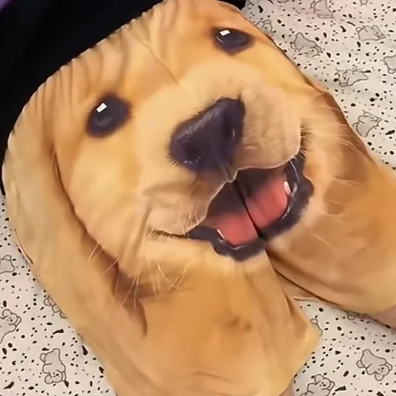 Golden Retriever Husky Print Quick-drying Shorts Pajama Pants Casual Pants Couple Five-quarter Pants Funny Cute Dog Head Shorts