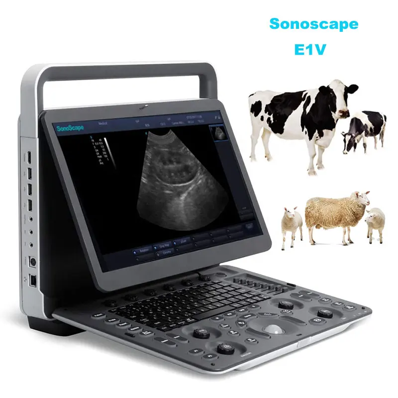 SonoScape E1 veterinary ultrasound medical ultrasound instruments vet black and white ultrasound scanner with rectal probe L741V