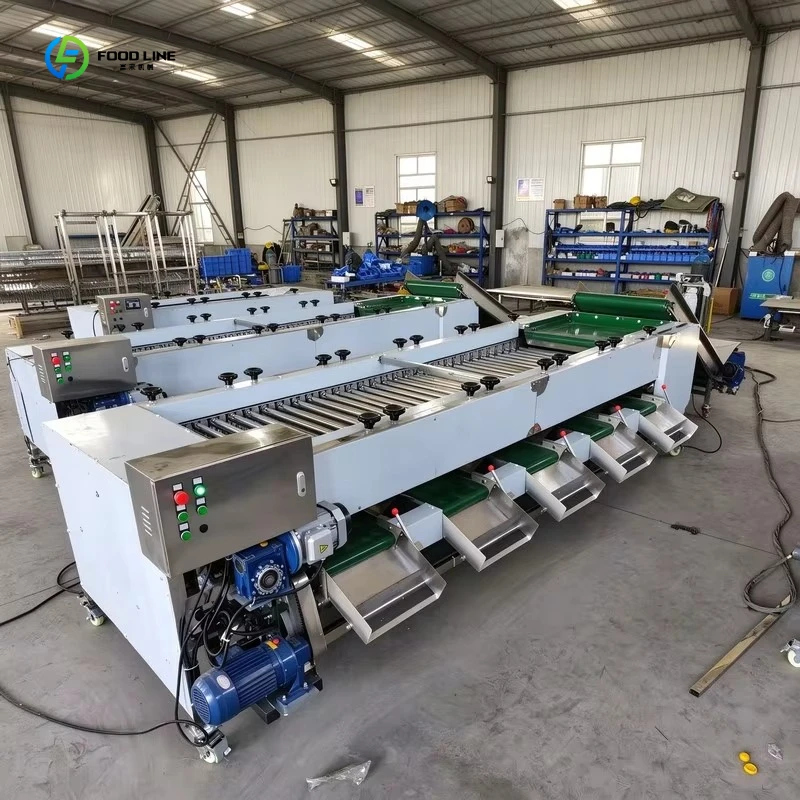 Potato Onion Apple Tomato Vegetable Fruit Size Grading Sorting Machine FL Customized