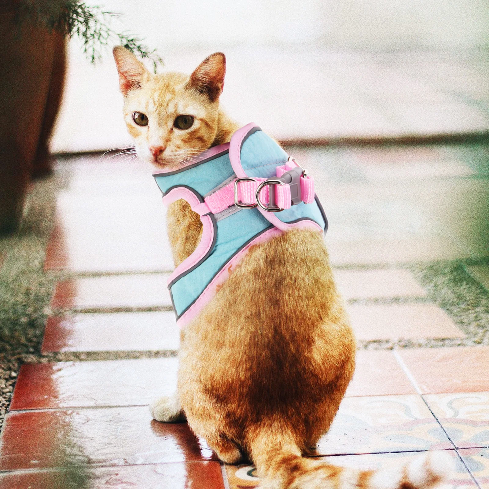 

Creative Pet Leash Cat Harness Puppy Kitten Reflective Vest Walking Rope Small Size Pocket Green Outdoor Use Adjustable Chest