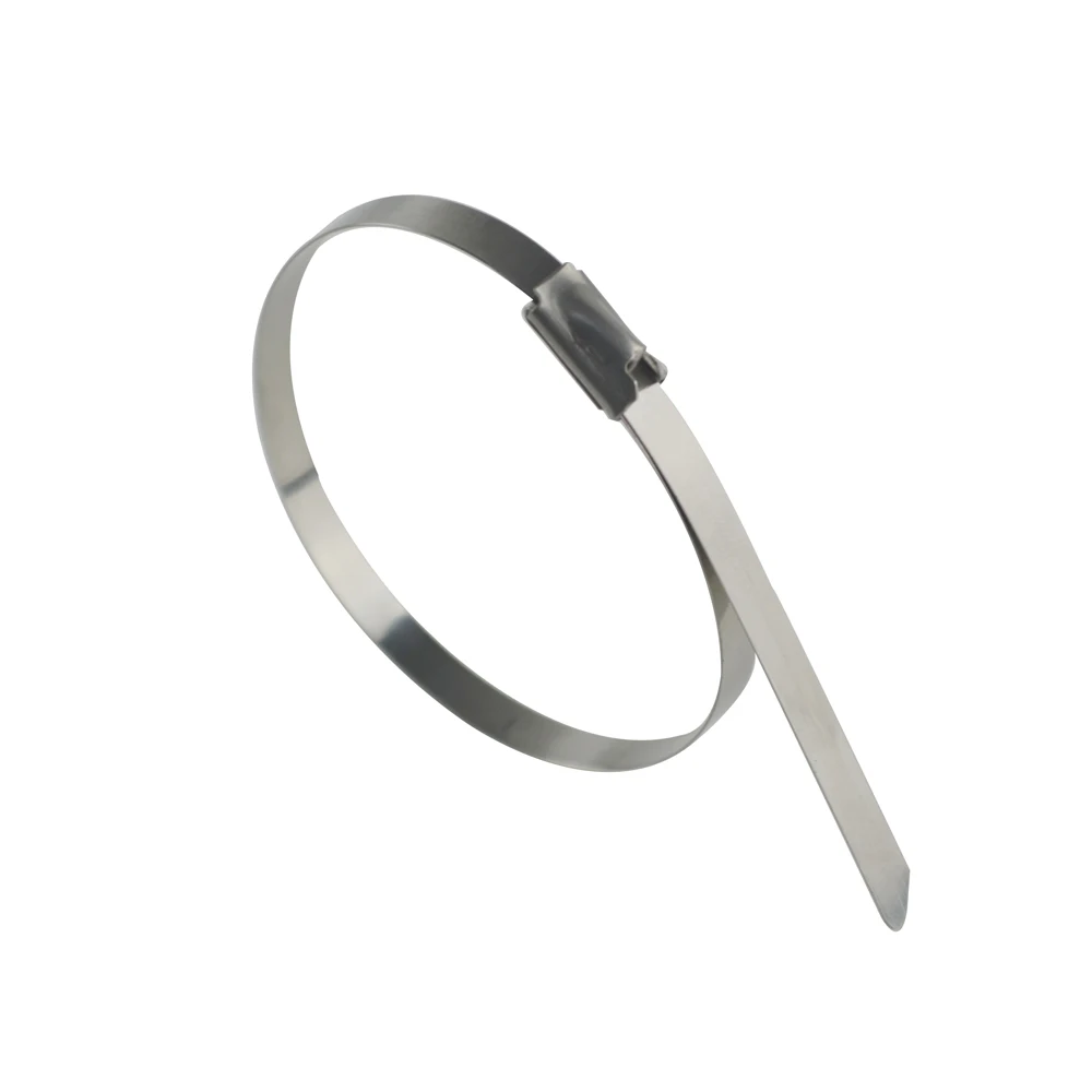 LZONE - 200mm x 12 " / 300mm x 12" cabezal de acero inoxidable envoltura de escape auto bloqueo Cable cierre correas 100 piezas JR-SLS02/03