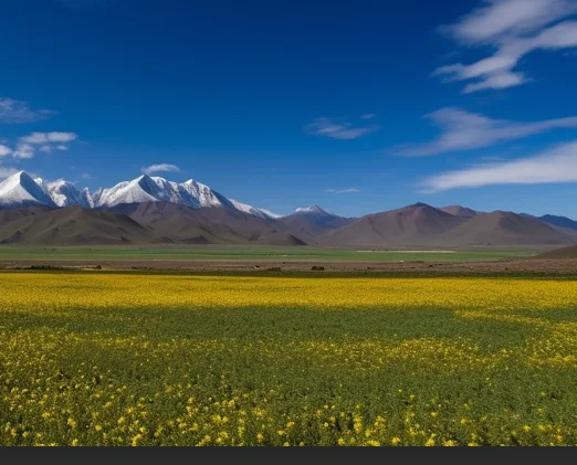 

2208A Смарт-браслет Монитор сердечного ритма и артериального давления Шагомер Спортивный фитнес-трекер для мужчин и женщин Электронный браслет