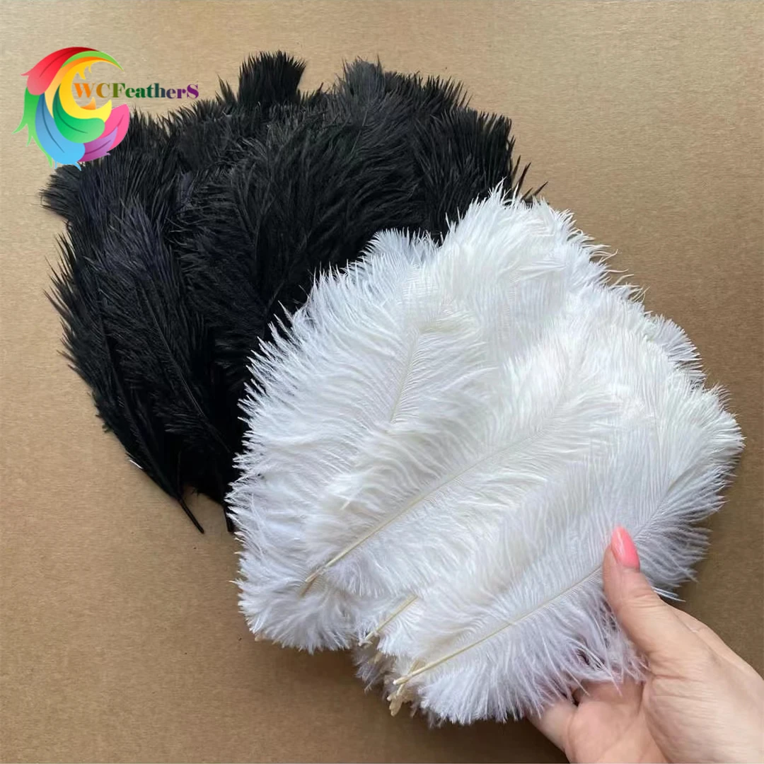 10Pcs Balck White Ostrich Feathers 15-20CM 20-25CM 25-30CM Plumes Bulk for Handicraft  Dream Catcher Crafting Accessories