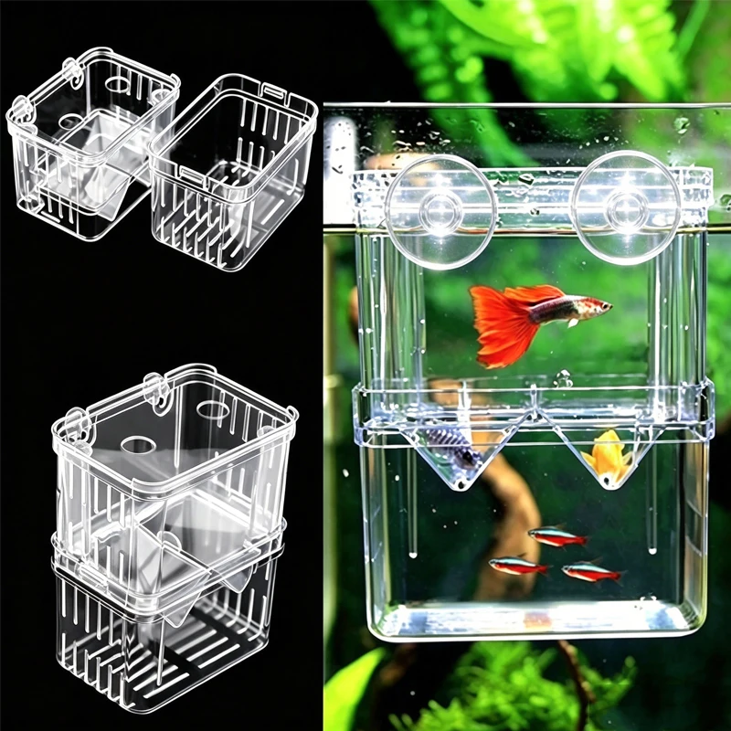 Hochtransparente Acryl-Fischzuchtbox Aquarium-Zuchtbehälter für Kleine Fische Betta-Brutkasten mit Saugnapf – Detail 7