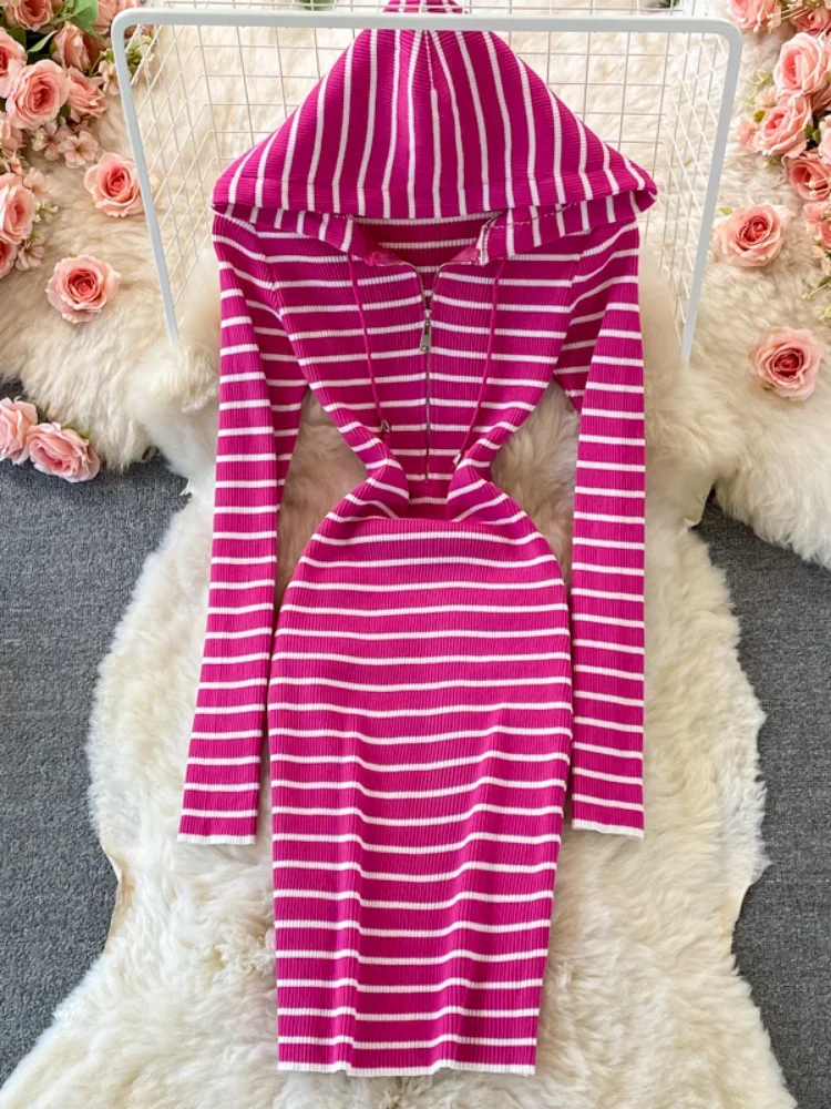 Woherb Korean Casual Hooded Knitted Dress  Spring Zipper Vestidos 2025 Long Sleeve Femme Y2k Robe Elegant Stripes Dresses