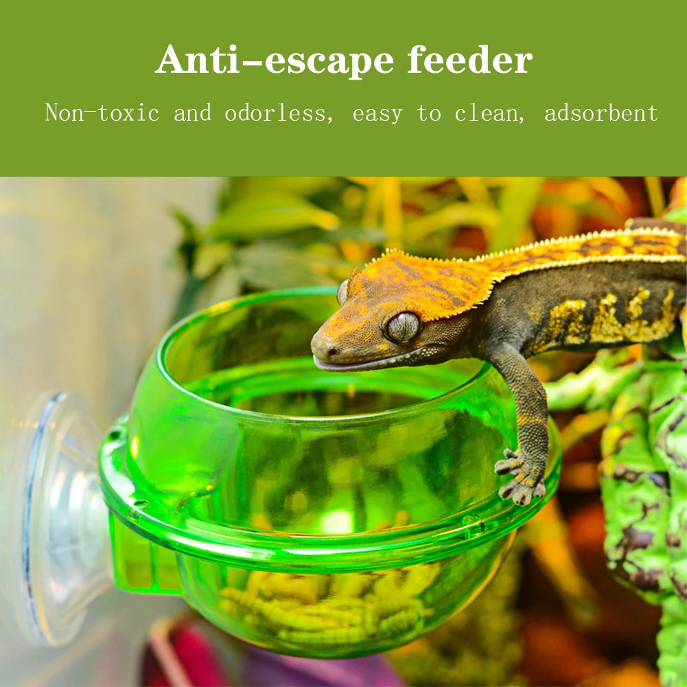 Suction Cup Reptile Feeder Chameleon Feeding Food Bowl Escape Proof Worm Dish For Chameleon Iguana Lizard Reptile