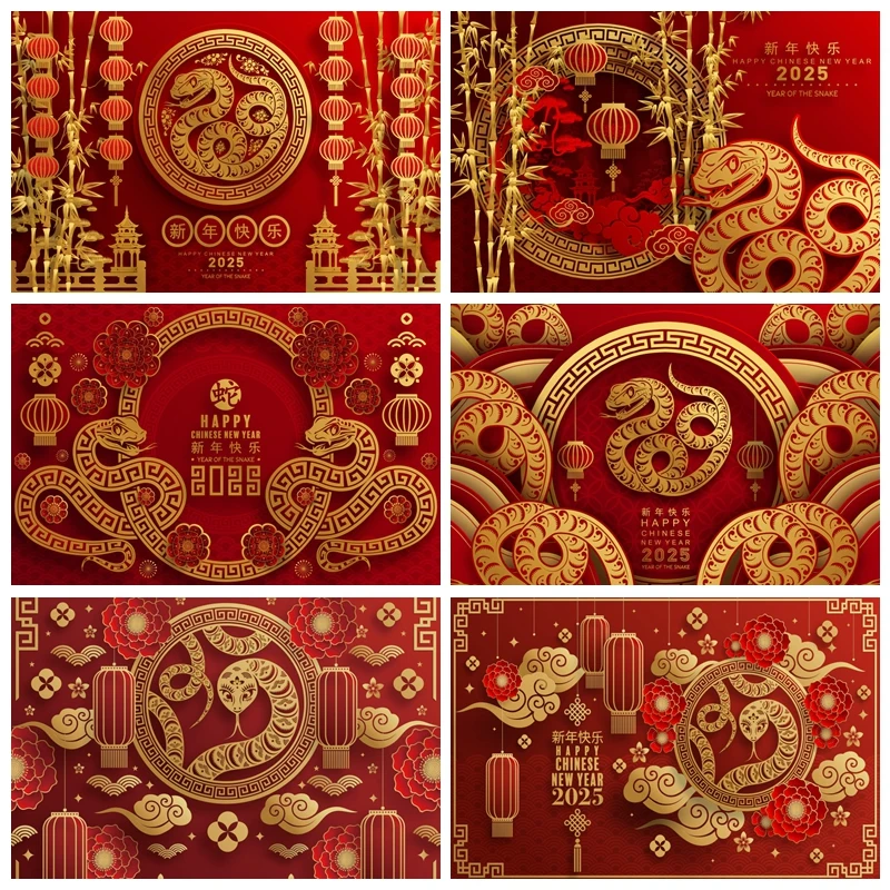 2025 Happy New Year Backdrop Chinese Style Snake Red Lantern New Year Eve Family Party Photography Background Decor Photo Studio