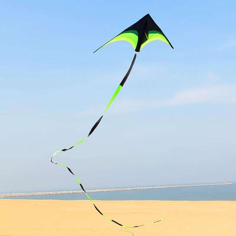 2m grote delta vliegeren buitenspeelgoed sportvlieger professionele vlieger kinderwindvliegers Aerogrill voor keuken Power kite fun