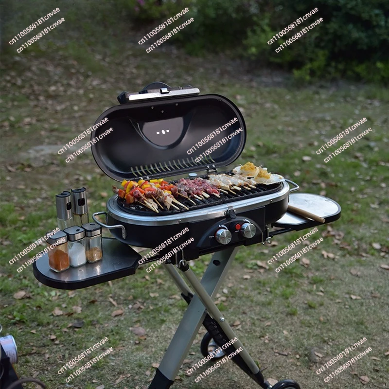 

Upgrade Dual-Head Portable Gas Grill, Outdoor Camping Picnic BBQ, Foldable Design for Patio Garden Backpacking