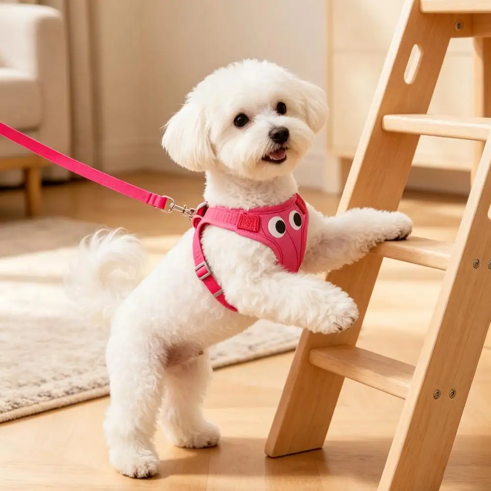 Small Dog Harness Padded Step-in Dog Harness with Leash Breathable Adjustable Pet Harness for Small Dogs Cute Big Eyes Puppy