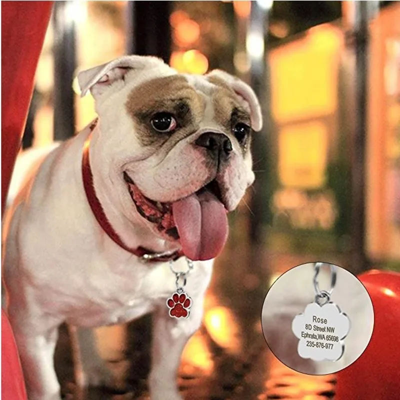 Free Engraved Pet Dog Tag Anti-Lost Dog Cat Address Tags Personalized Puppy Kitten Id Name Collar Tags Pendant Pet Accessories