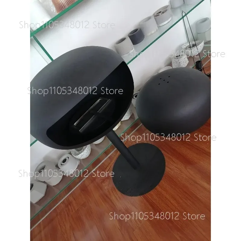 Freestanding Bioethanol Fireplace - Oval Sphere Design Smokeless Real Flame Ethanol Fire Pit for Indoor Outdoor Decor