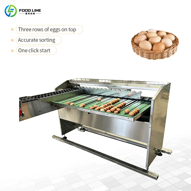 Customized Automatic Quail Egg Weight Grading Sorting Machine With Weighing Packing Printer Complete Production Line