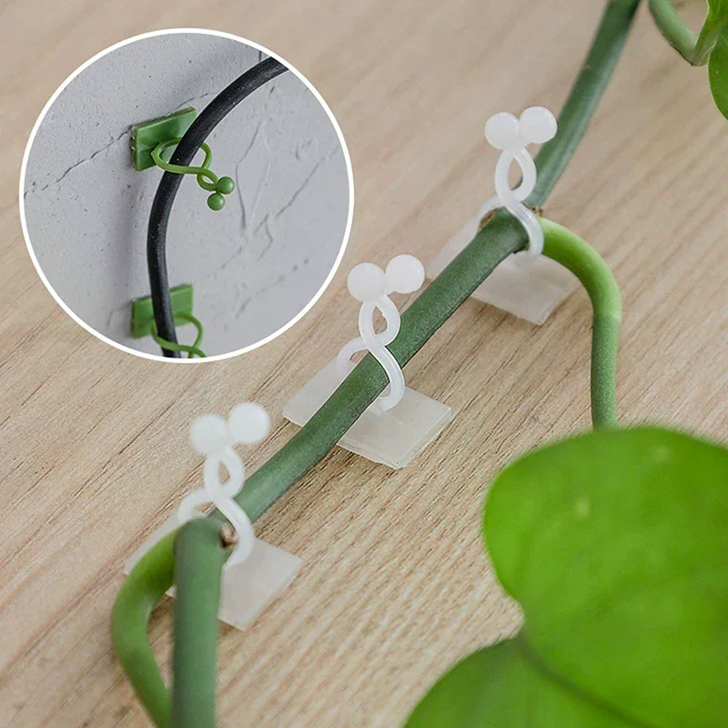 20pcs Home Garden Plant Climbing Wall Fixture Clips Rattan Vine Fixer Self-Adhesive Plant Climbing Wall Fixed Buckle Hook