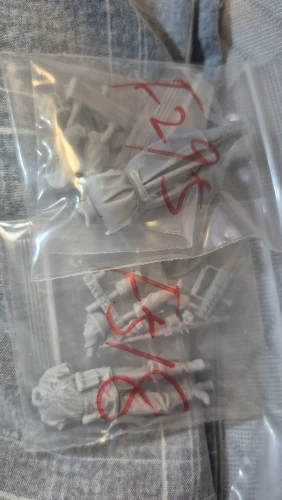 Buyer photo of this resin kit